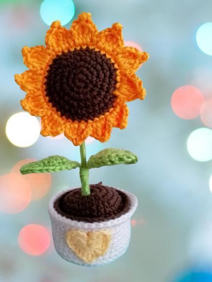 Girasol tejido en matera